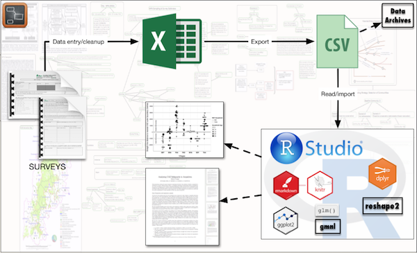 My data workflow